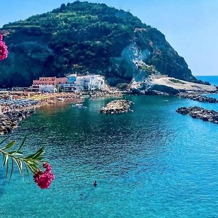 Mare Nostrum - Beachfront House - Sant'Angelo Ischia 外观 照片