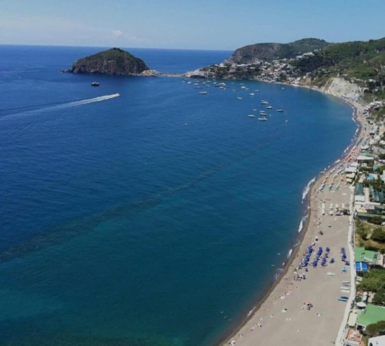Mare Nostrum - Beachfront House - Sant'Angelo Ischia 外观 照片