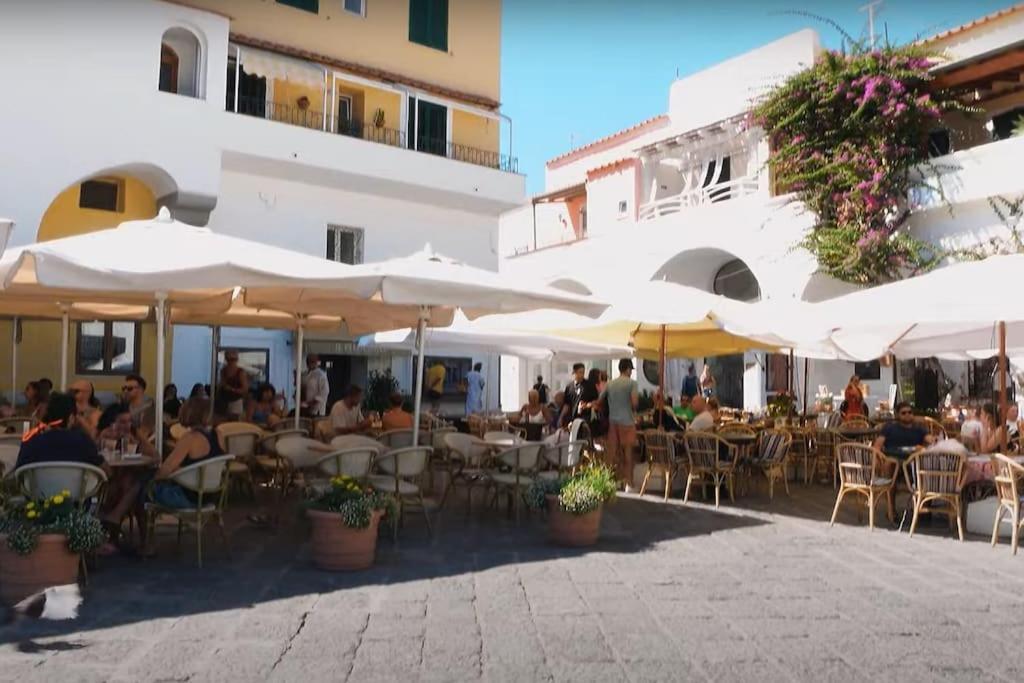 Mare Nostrum - Beachfront House - Sant'Angelo Ischia 外观 照片