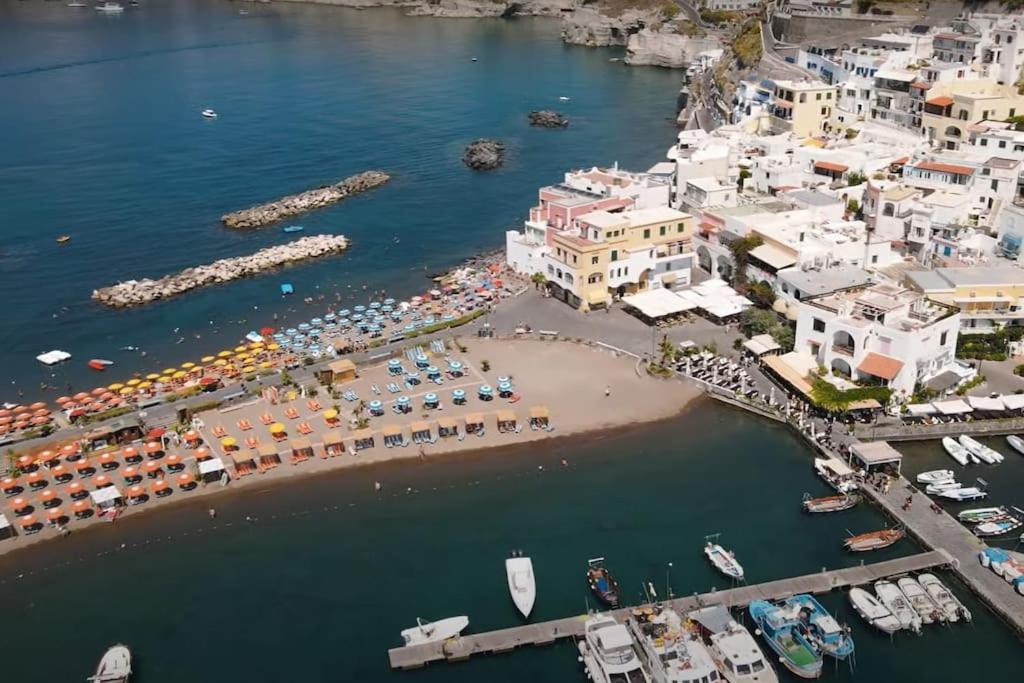 Mare Nostrum - Beachfront House - Sant'Angelo Ischia 外观 照片